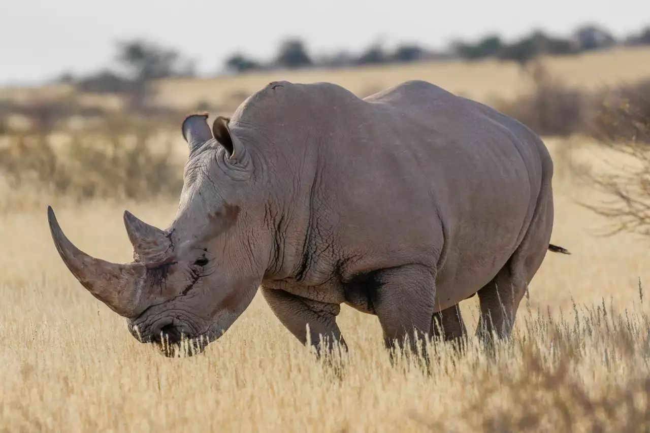 Namibia DSA1C00824 Photo by Giles Laurent