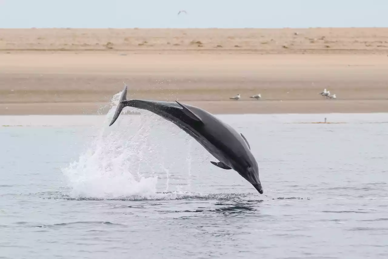 Namibia DSA1C02286 Photo by Giles Laurent
