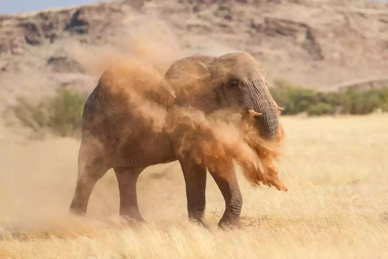 Namibia DSA1C03582-2a Photo by Giles Laurent