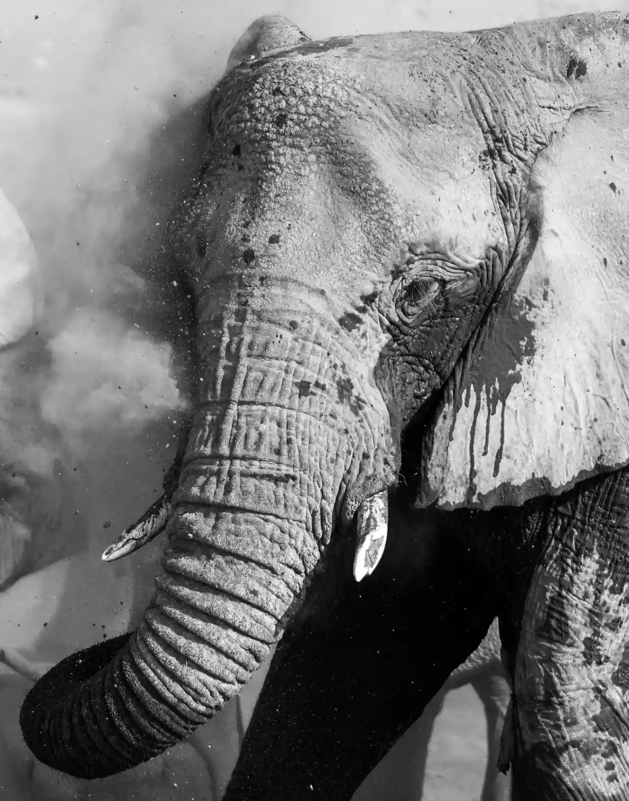 Namibia DSA1C04563 Photo by Giles Laurent