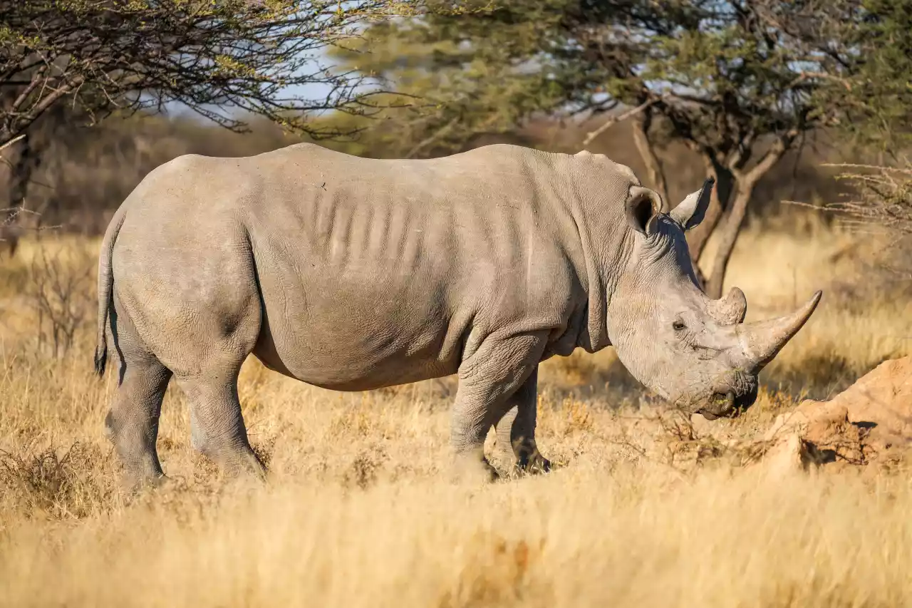 Namibia DSA1C05817 Photo by Giles Laurent
