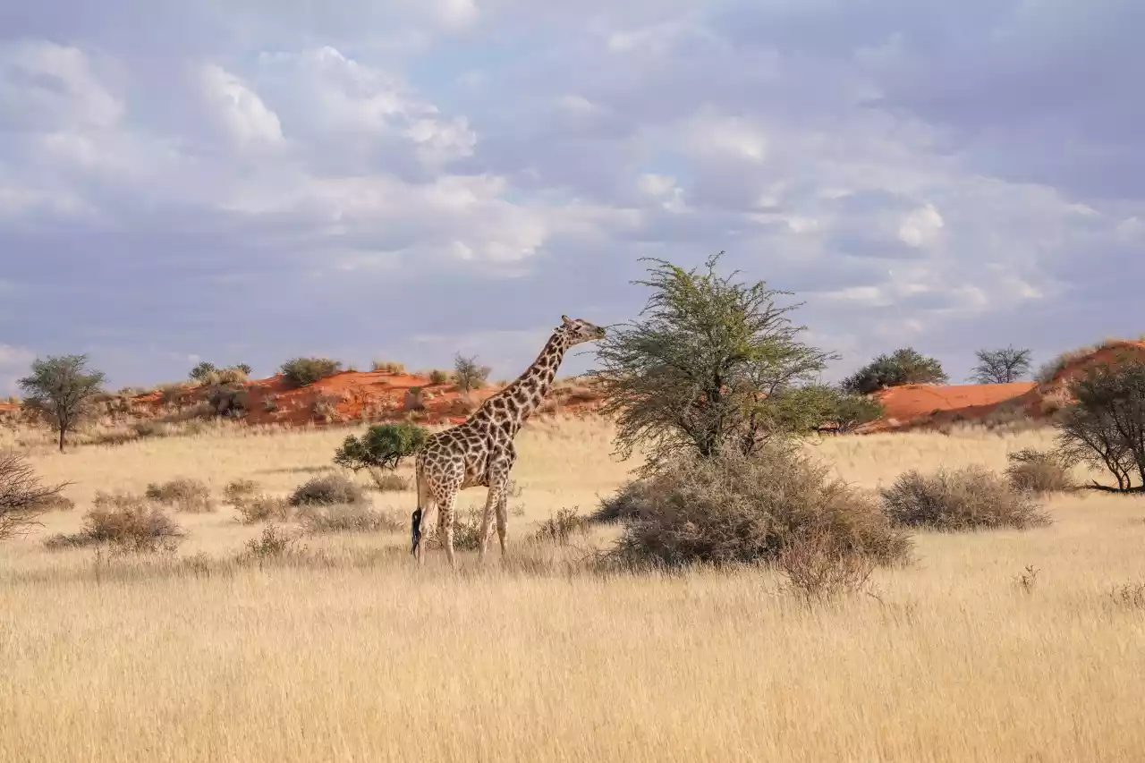 Namibia DSA7C07164 Photo by Giles Laurent