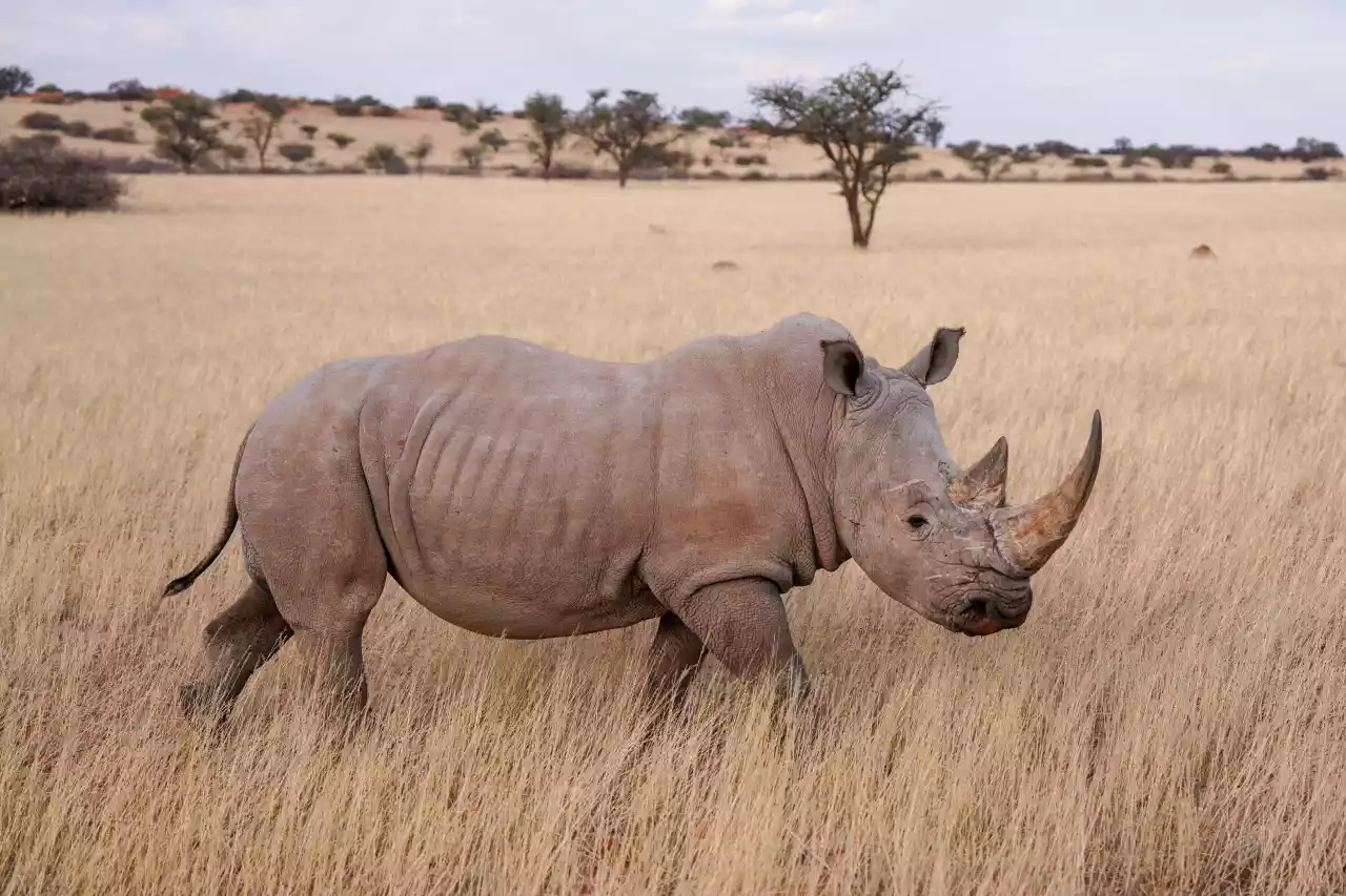Namibia DSA7C07253 Photo by Giles Laurent