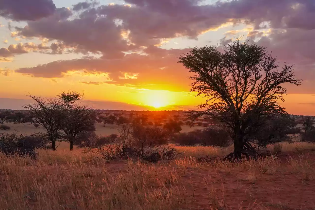 Namibia DSA7C07355 Photo by Giles Laurent