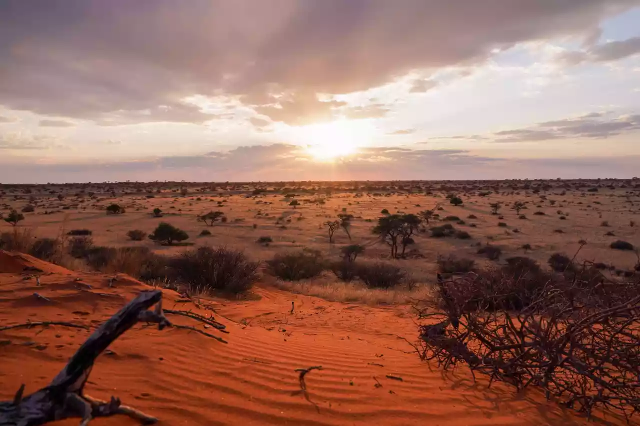 Namibia DSA7C07463 Photo by Giles Laurent