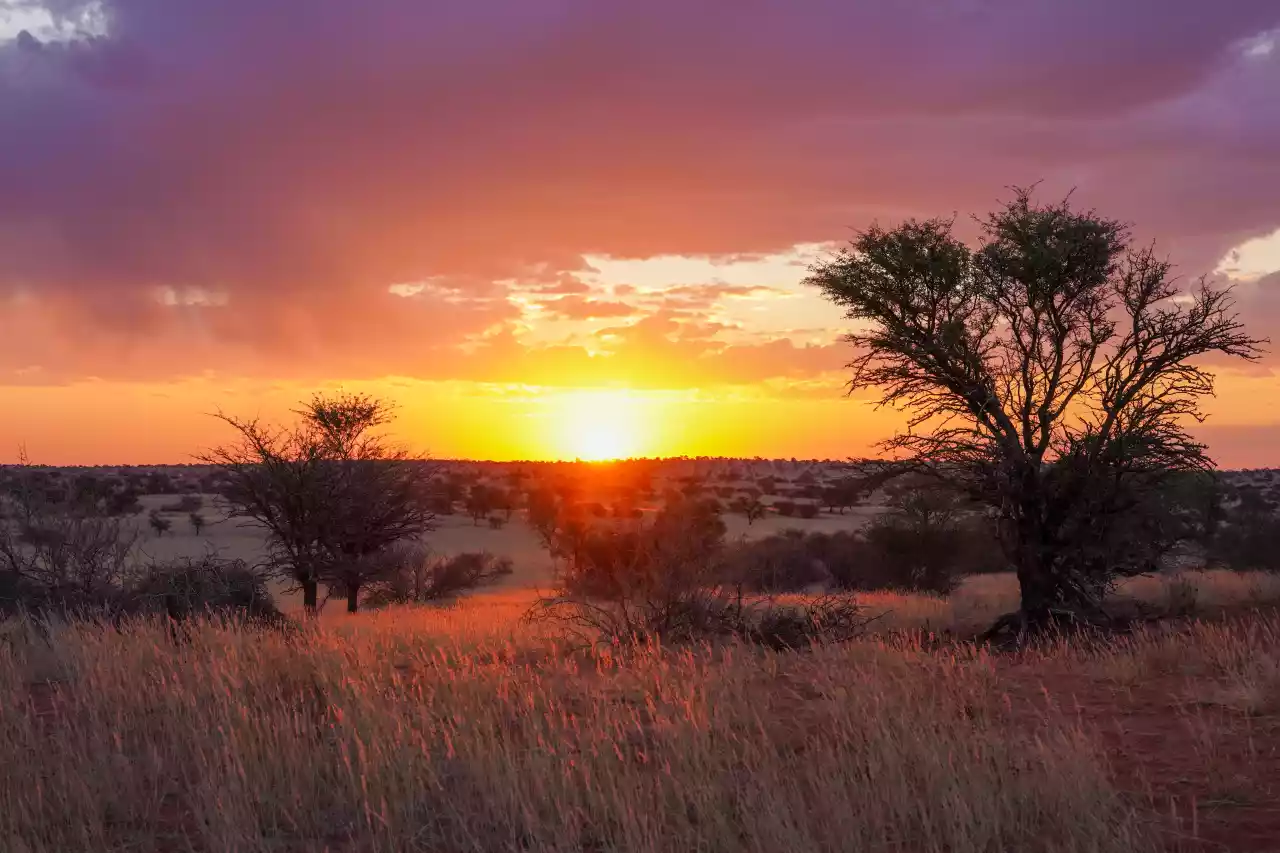 Namibia DSA7C07559 Photo by Giles Laurent