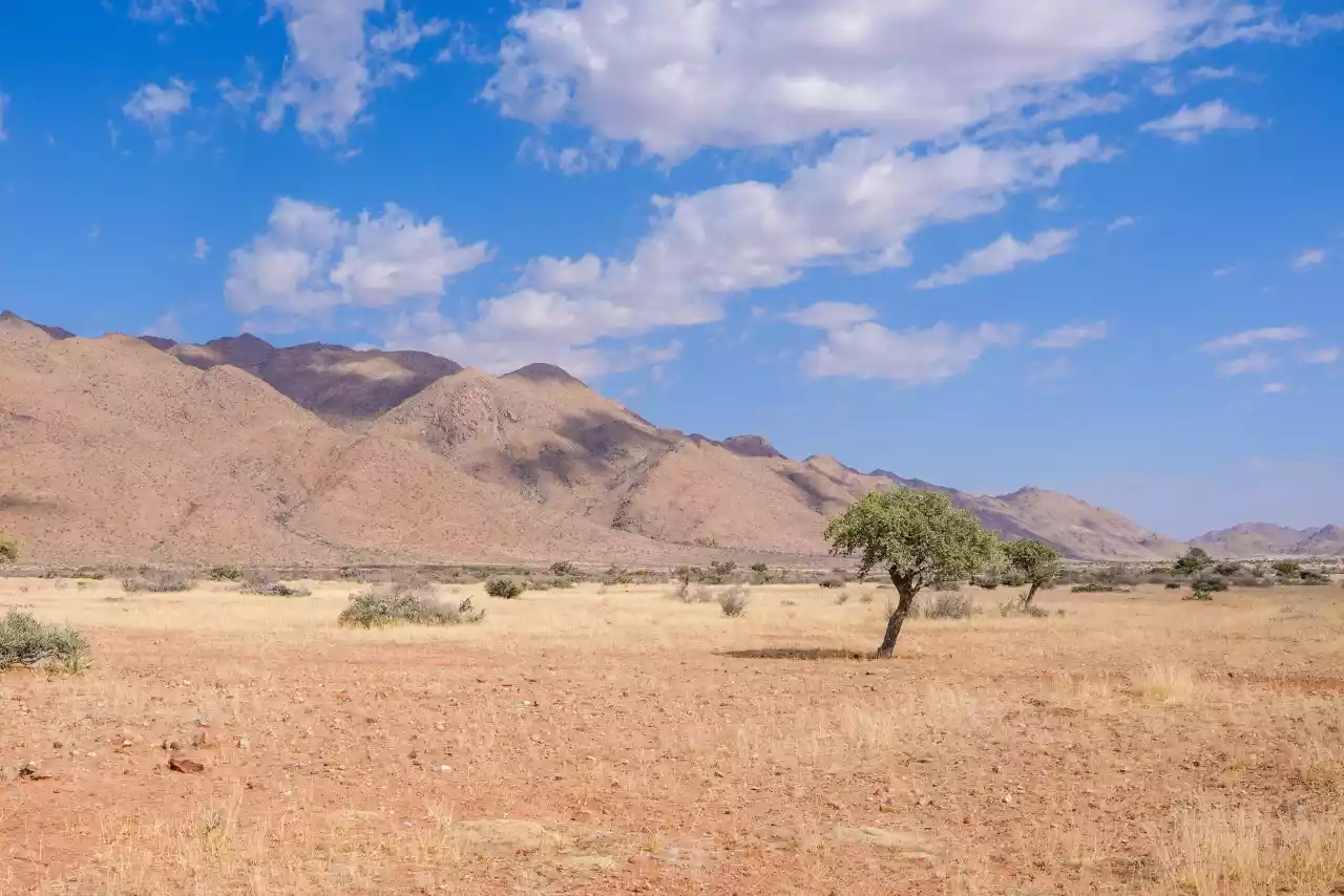 Namibia DSA7C07830 Photo by Giles Laurent