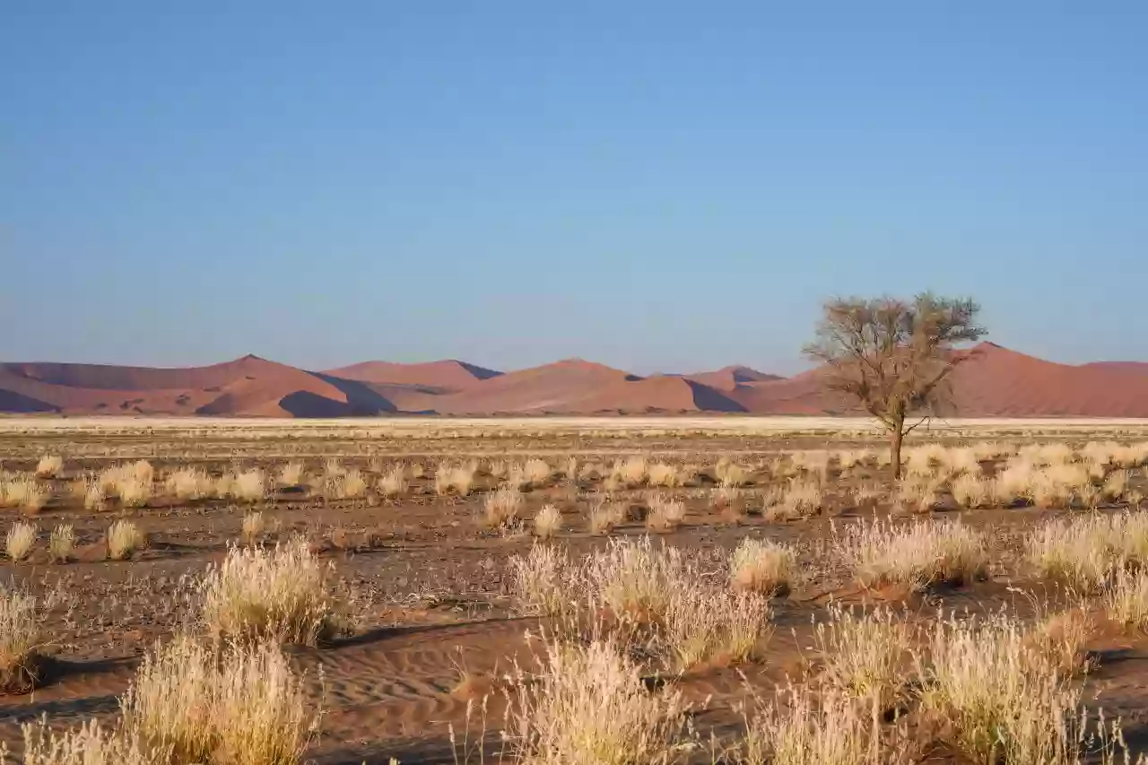 Namibia DSA7C08645 Photo by Giles Laurent