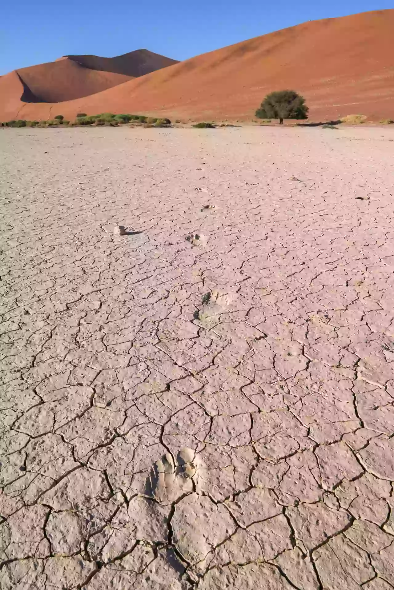 Namibia DSA7C08677 Photo by Giles Laurent