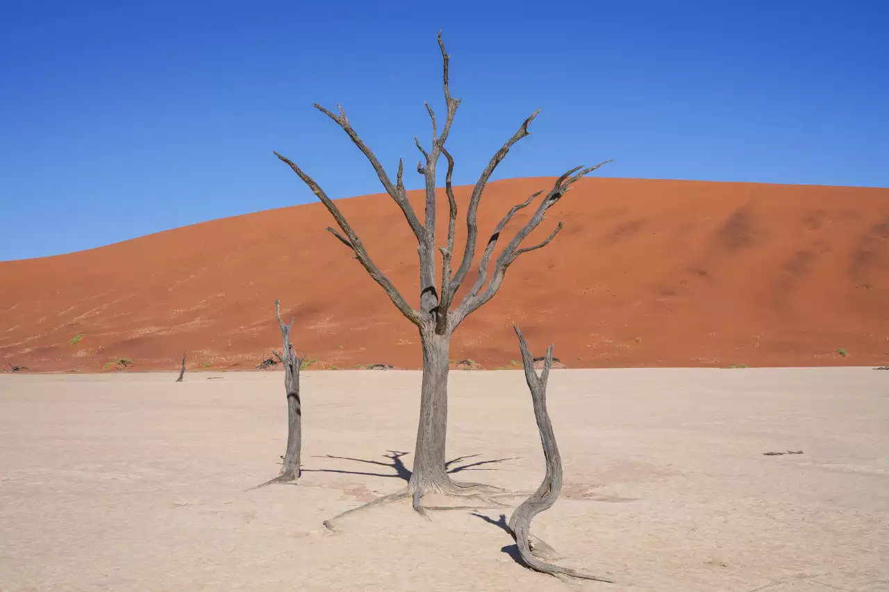 Namibia DSA7C08900 Photo by Giles Laurent