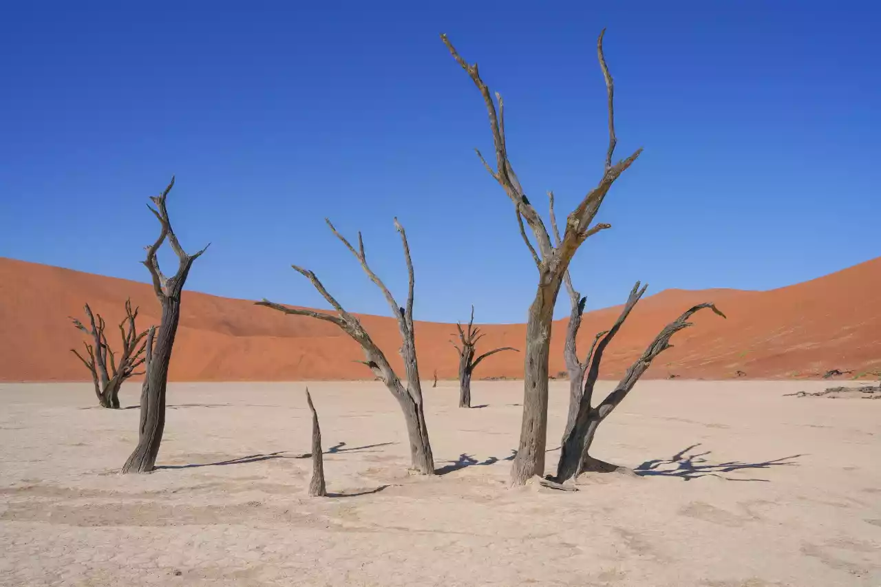 Namibia DSA7C08938 Photo by Giles Laurent