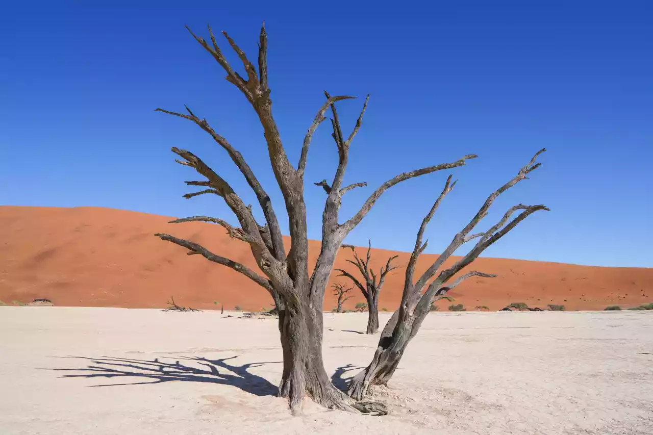 Namibia DSA7C09120 Photo by Giles Laurent