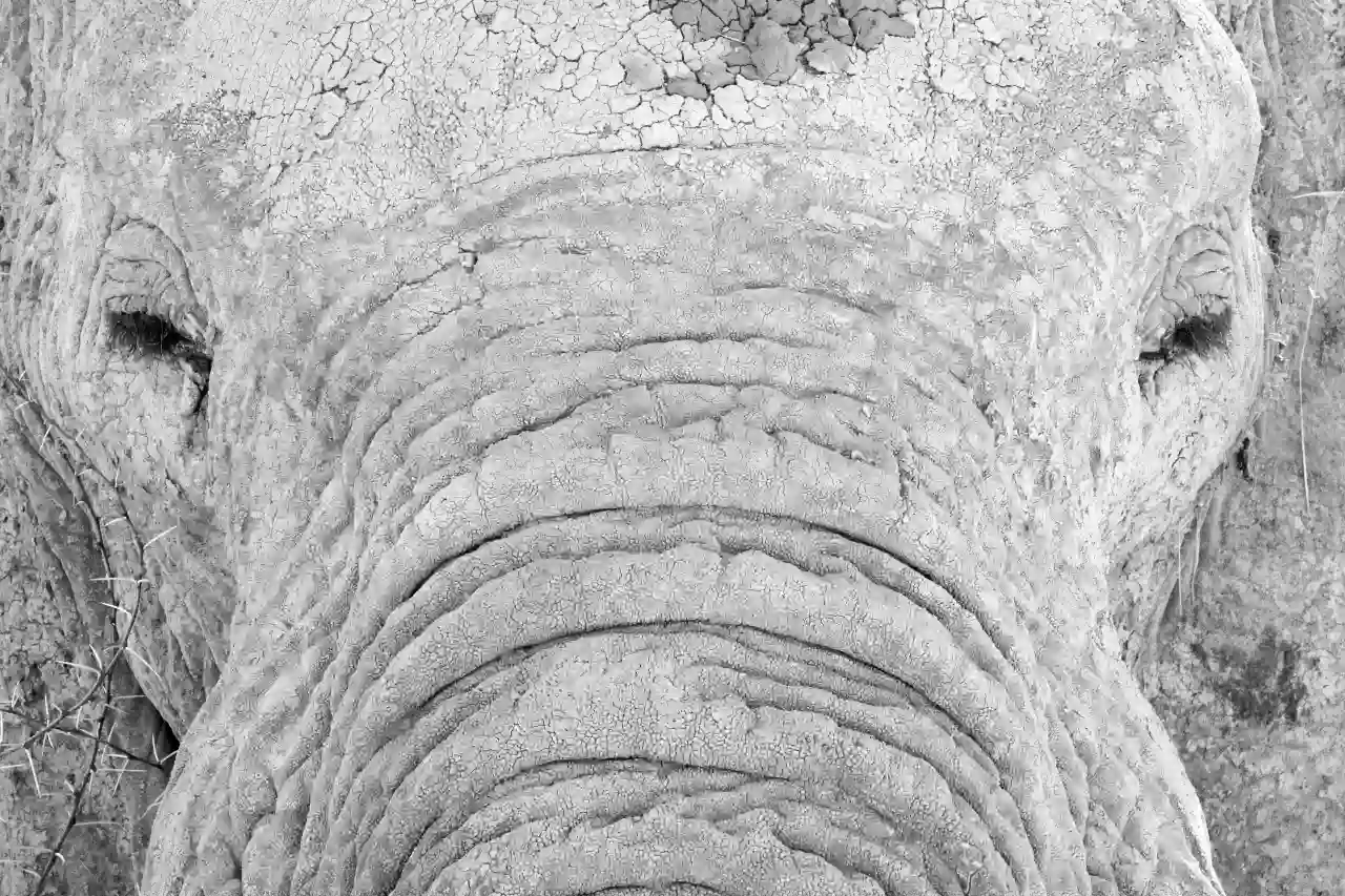 Namibia DSC27841 Photo by Giles Laurent